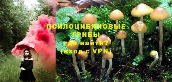 мяу мяу мука Богородск